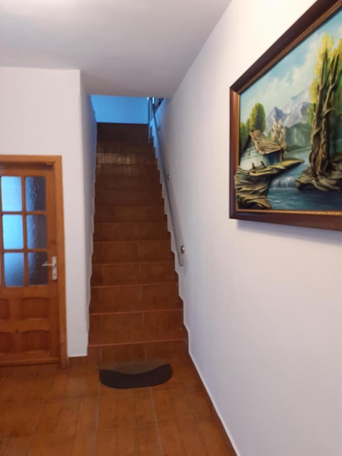 Casa Azugeana Azuga Dış mekan fotoğraf