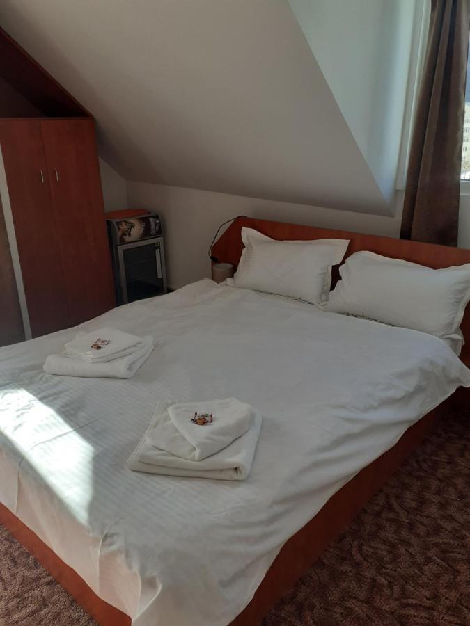 Casa Azugeana Azuga Dış mekan fotoğraf